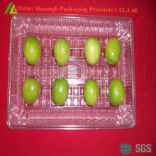 plateau de récipient en plastique pour l’emballage de fruits